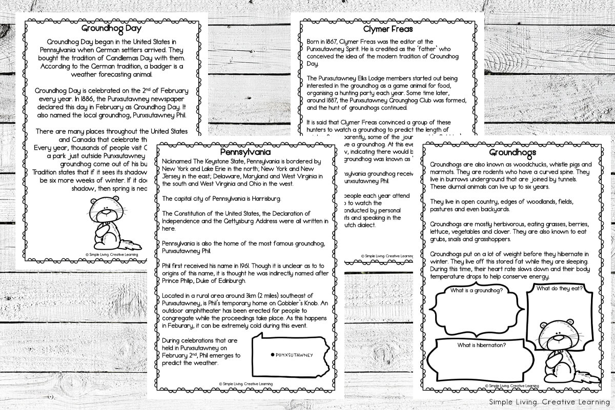 history of a groundhog worksheets - simple living. creative learning